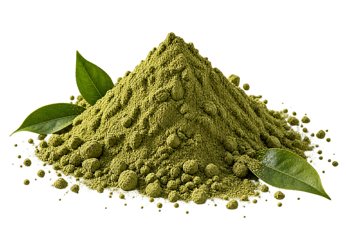 Green natural powder with fresh leaves